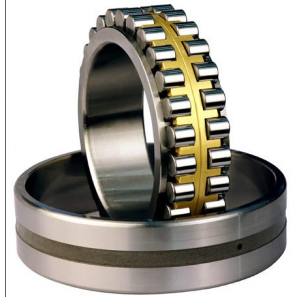 Bearing NNU4160MAW33 NNU49/500MAW33 #1 image